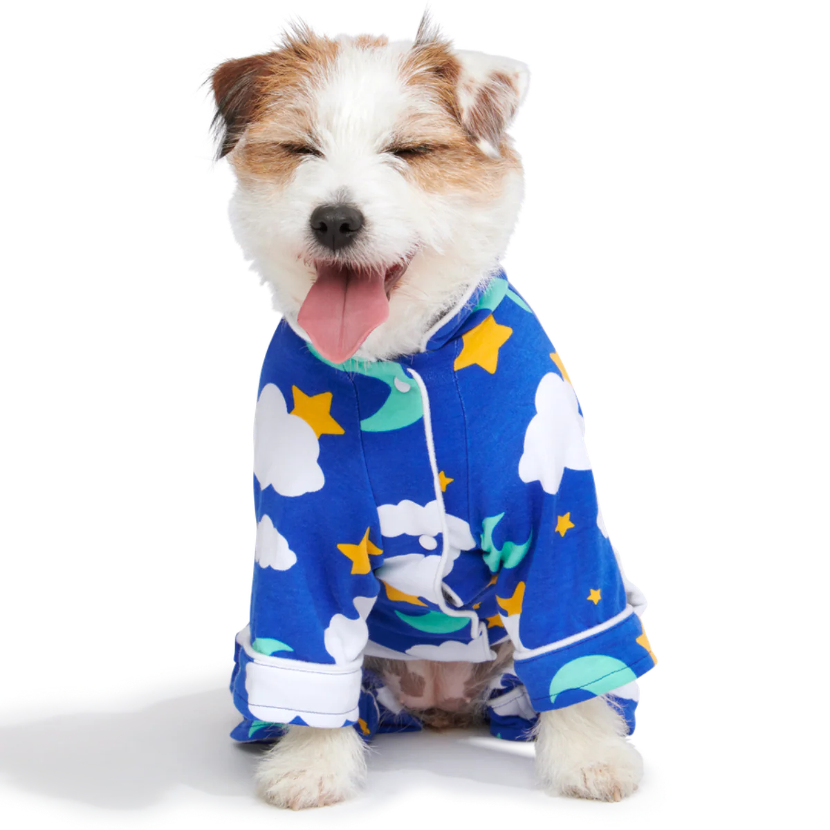 Slumber Party Dog Pajamas