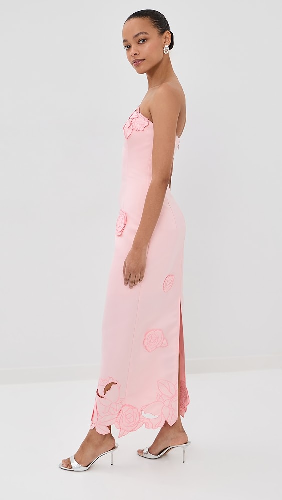 Rayna Applique Bustier Maxi Dress