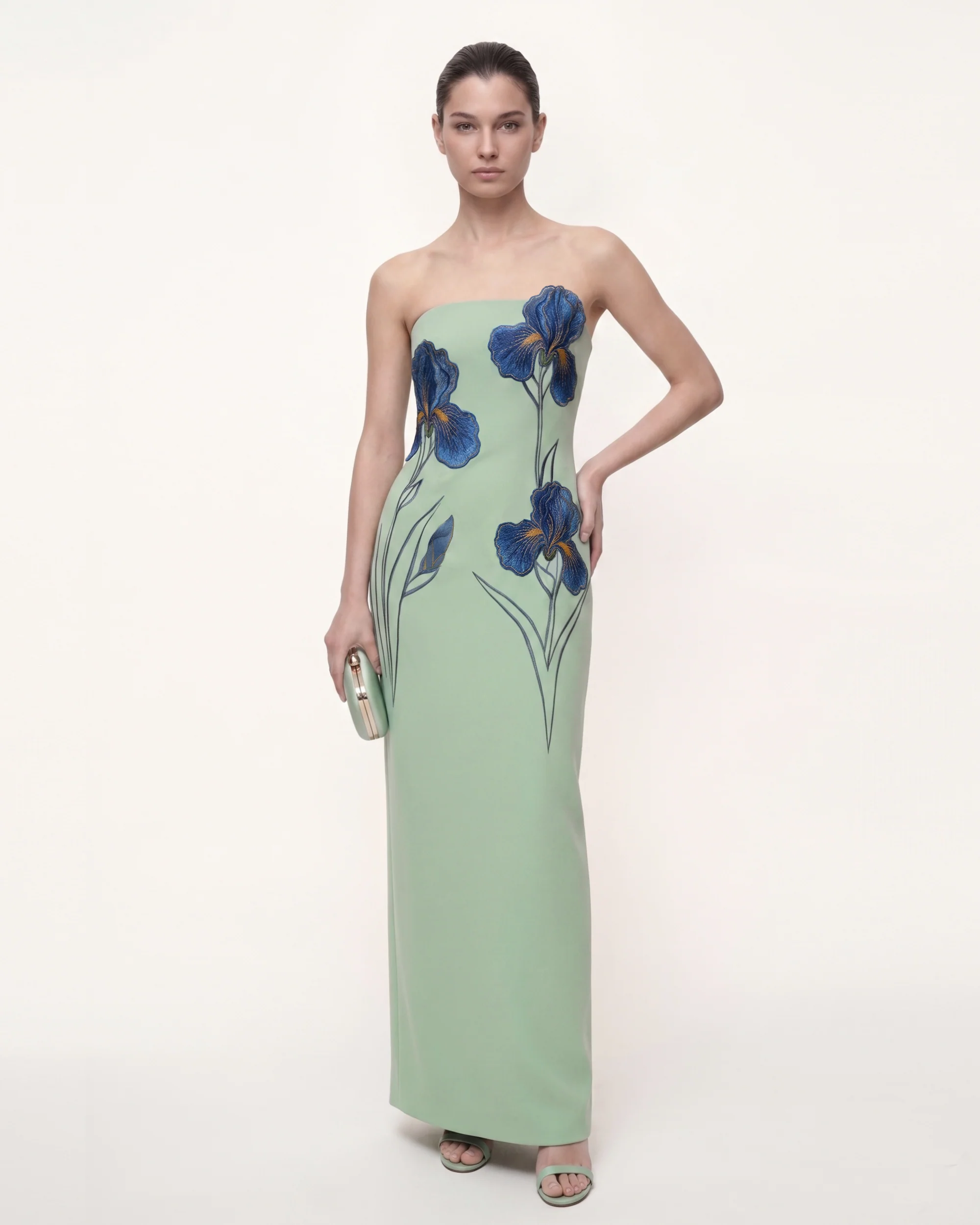 Iris Embroidered Strapless Maxi Dress - Mint Green