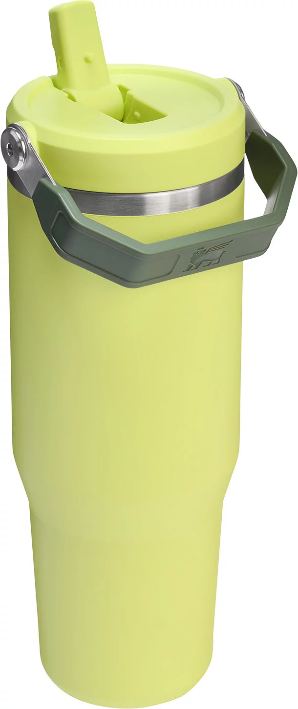 Stanley 30 oz. IceFlow 2.0 Flip Straw Tumbler - Prickley Pear