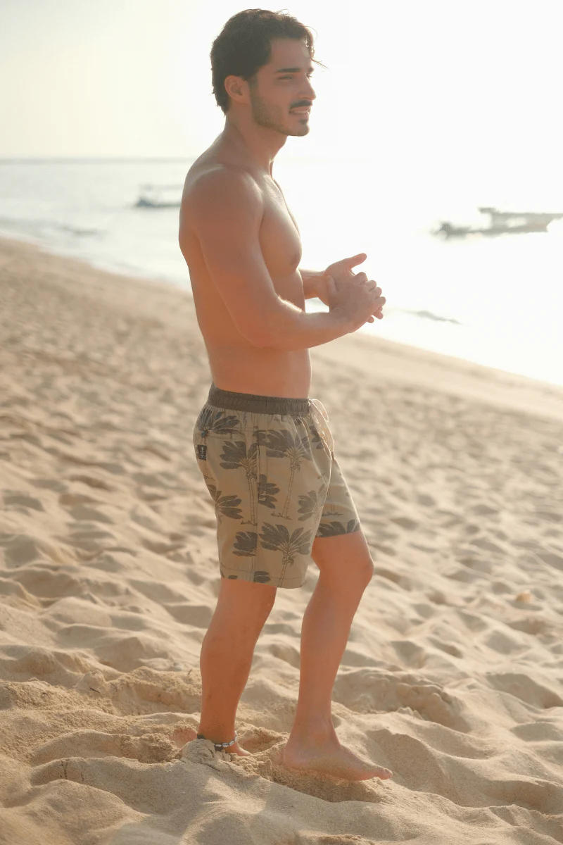 Traveller Palm Short