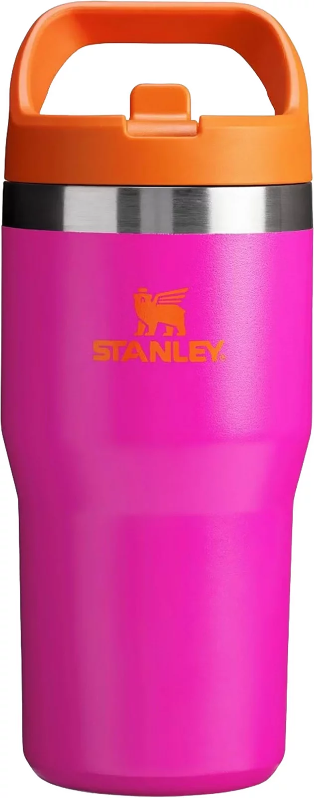 Stanley 20 Oz. IceFlow Flip Straw Tumbler - Vivid Violet
