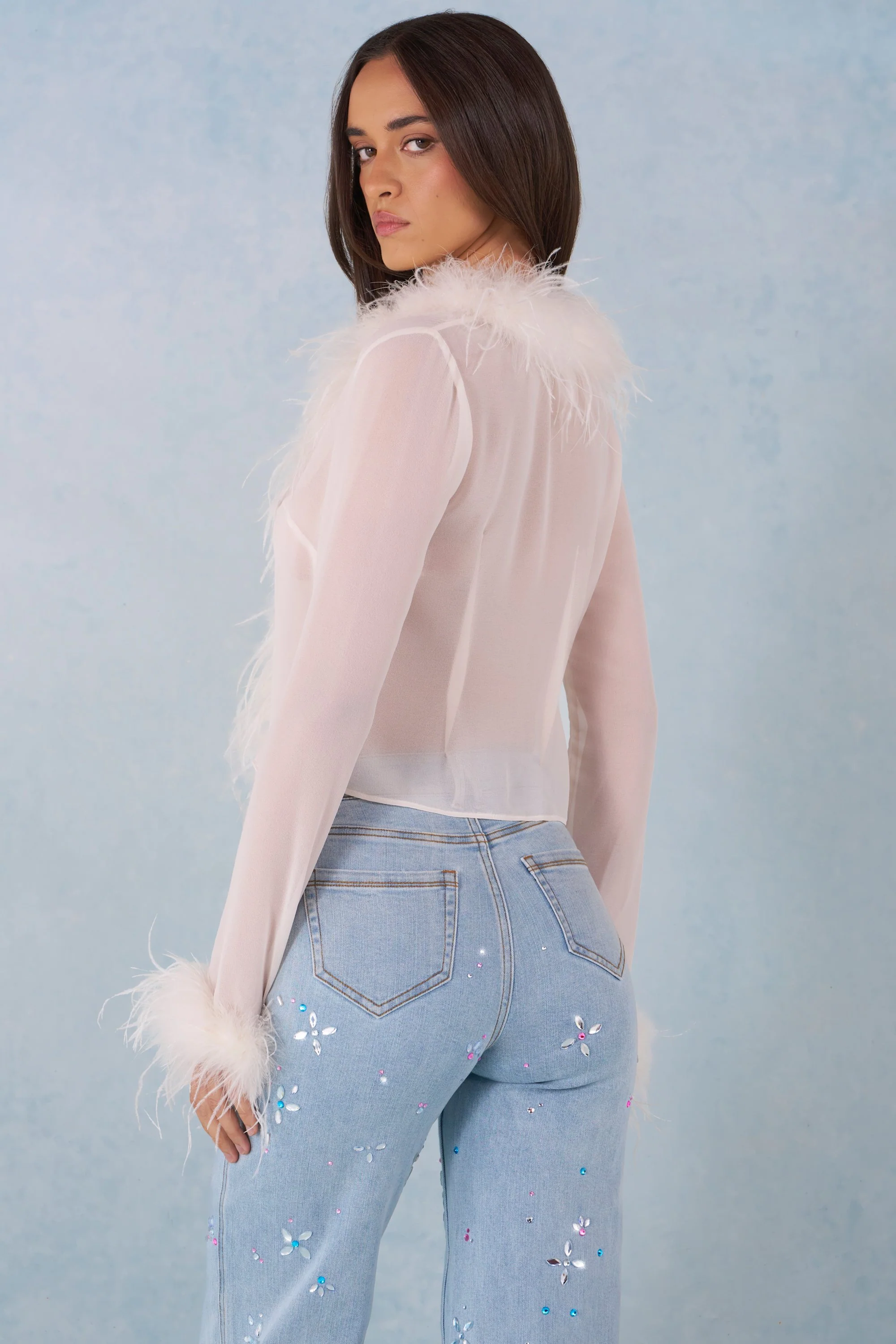 Faux Fur-Trim Sheer Top in Ivory