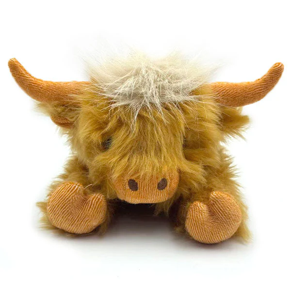 Highland Cow 11