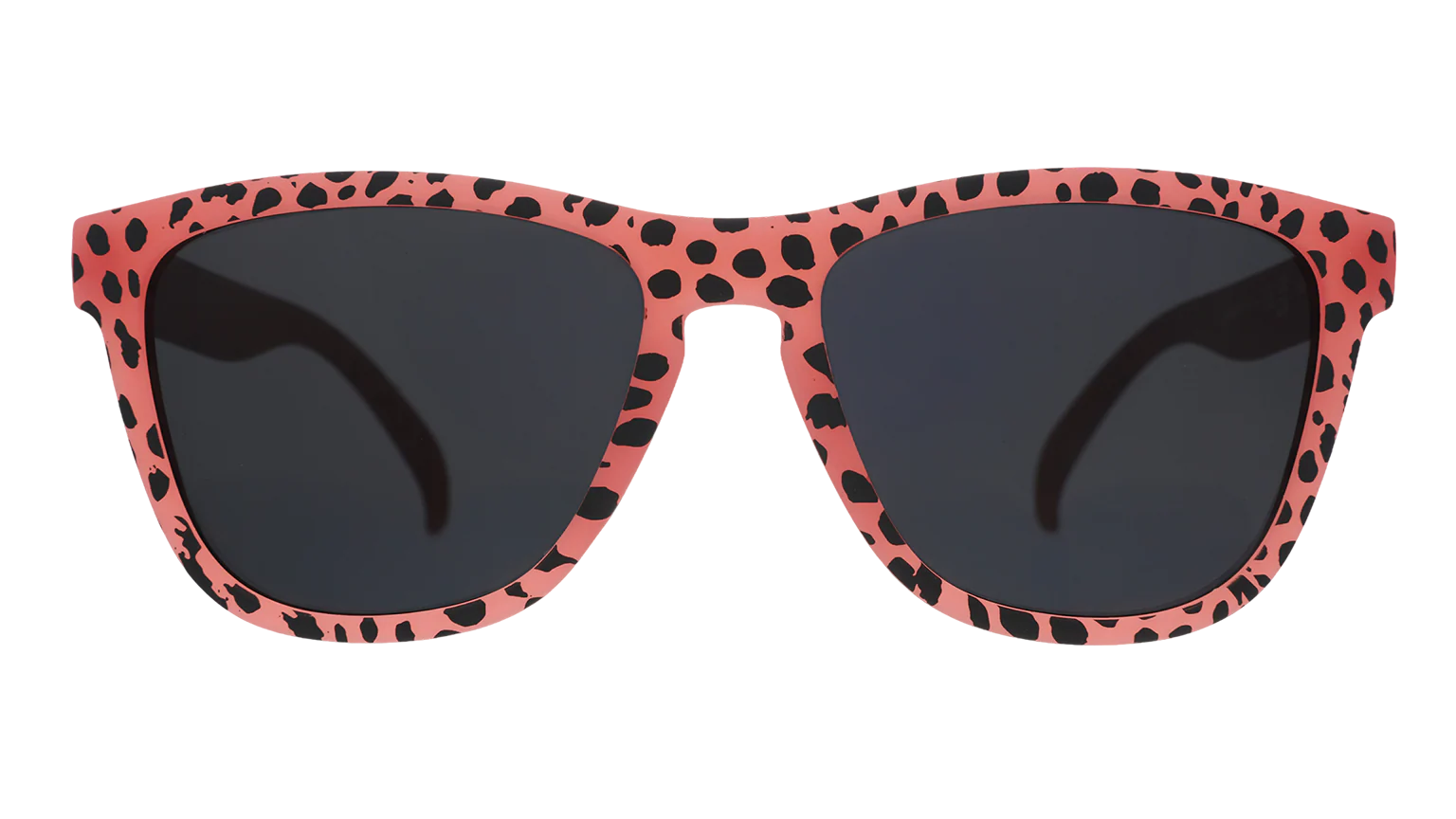 Cheetahs Always Win
