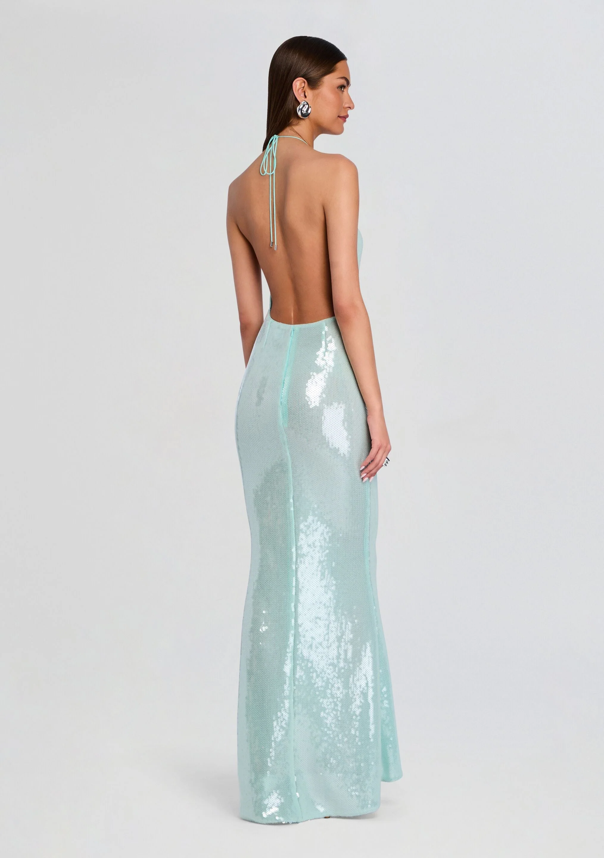 Elexa Sequin Dress