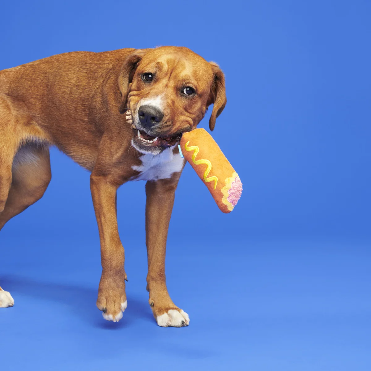 Corn Dog Tug Plush Rope Dog Toy