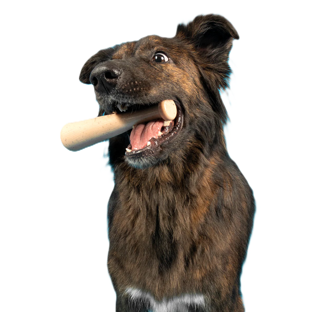 Drooleyville Slobber Super Chewer Durable Gnaw Dog Toy