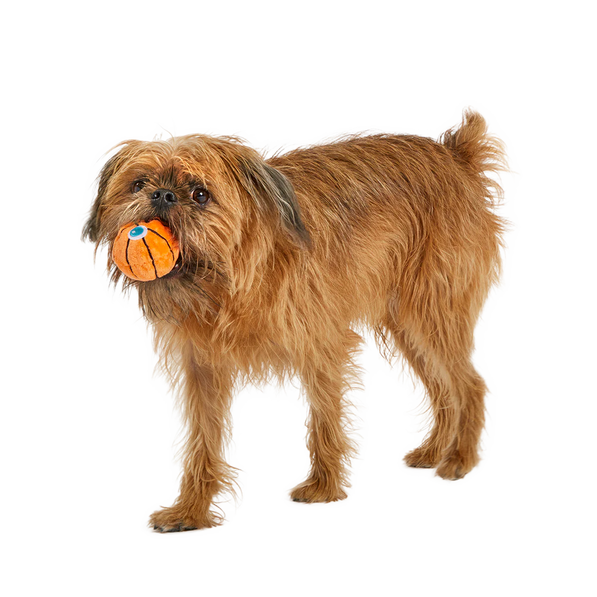 Drool & Dribble Basketball Plush Fetch Dog Toy
