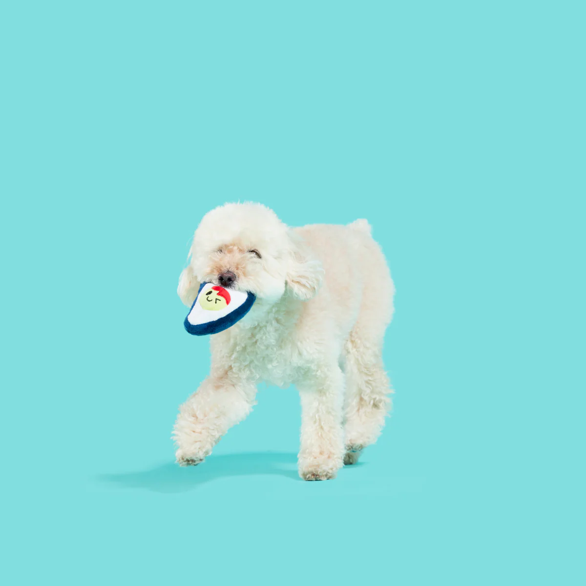 Shuck N' Chuck Toysters Plush Multi-Part Dog Toy