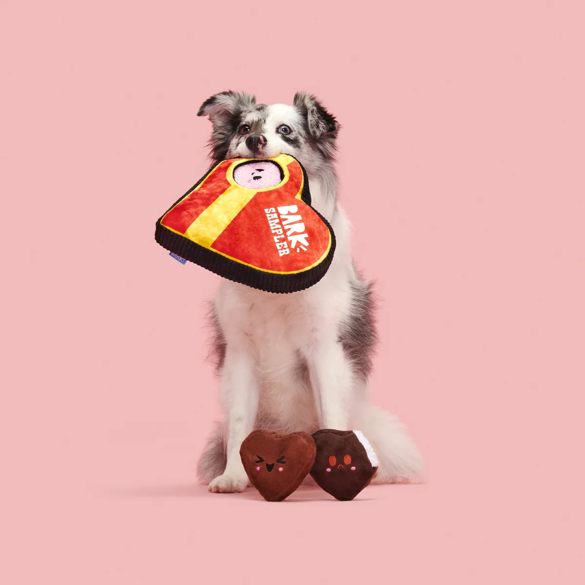 Barks Of Chocolates Plush Multi-Part + Enrichment Dog Toy