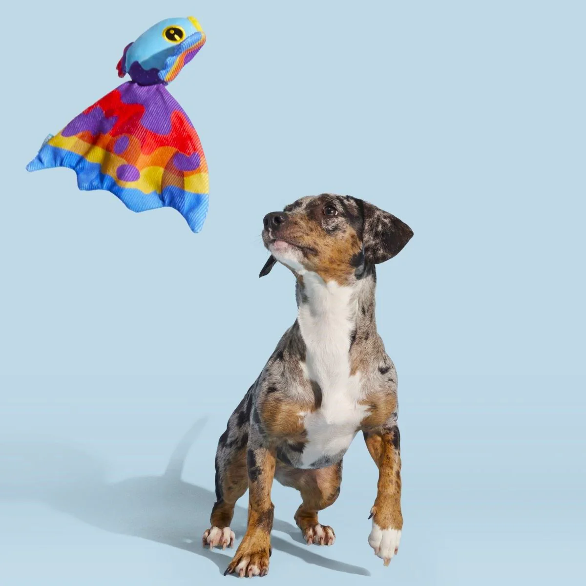 Beta Boop Plush Tug Dog Toy