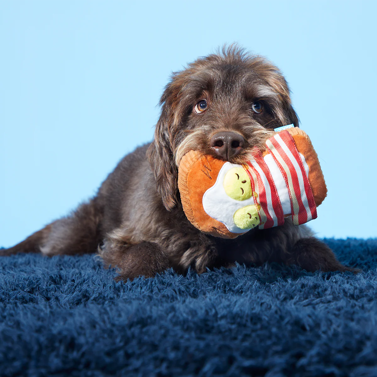 Barkfest In Bed Plush Dog Toy