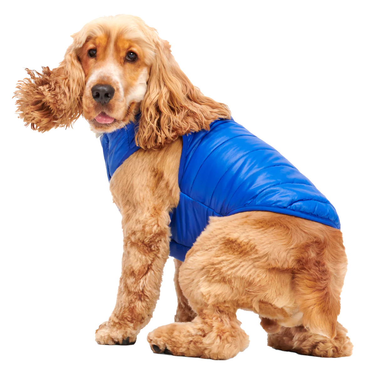 Puffer Dog Vest