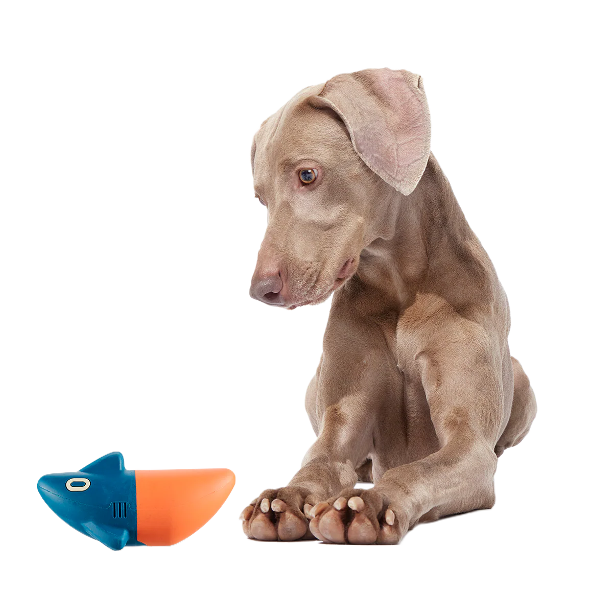Jump the Shark Super Chewer Durable Fetch Dog Toy