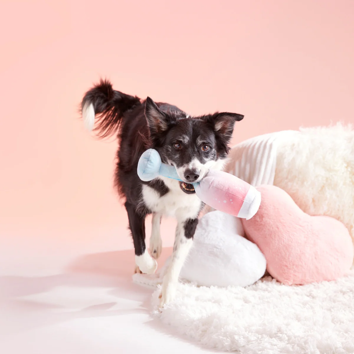 Pink Chompagne Plush Tug Dog Toy