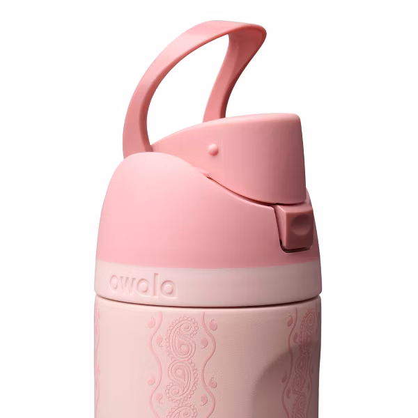 Owala 24fl oz Stainless Steel Special Edition FreeSip Water Bottle - Painted Canyon