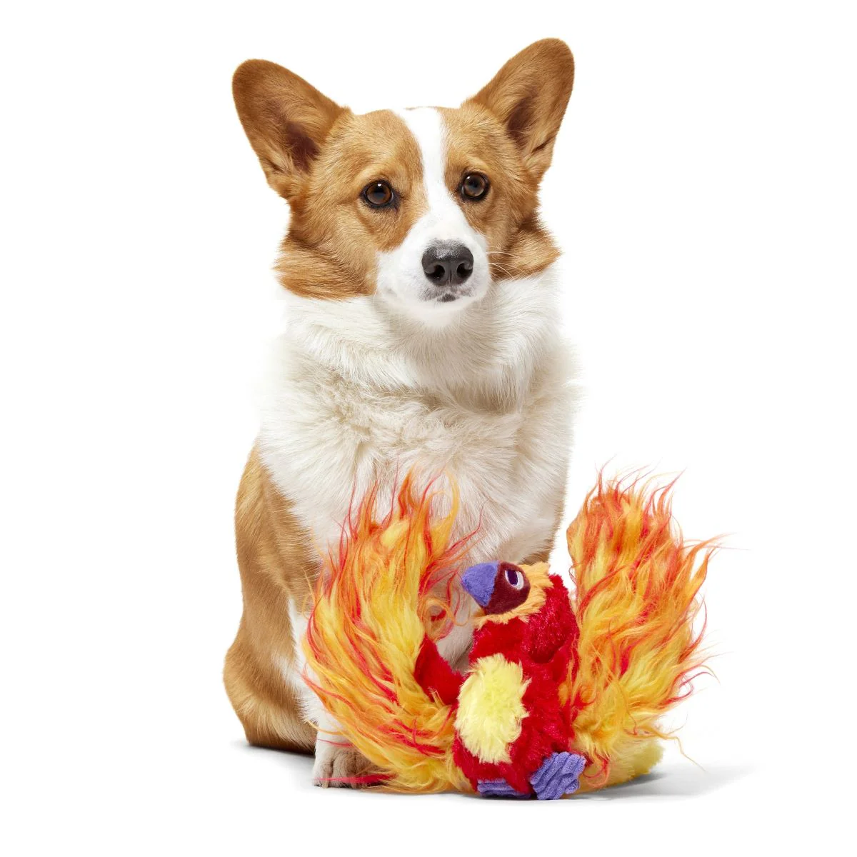 Fawkes™ Plush Tug Dog Toy