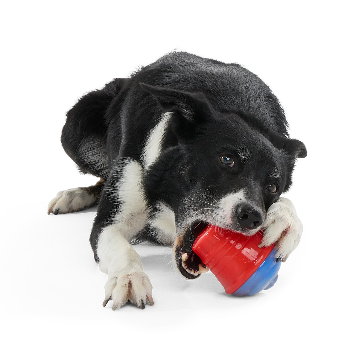 Blue Ruffberry Puppy Slushie Super Chewer Durable Engagement Dog Toy