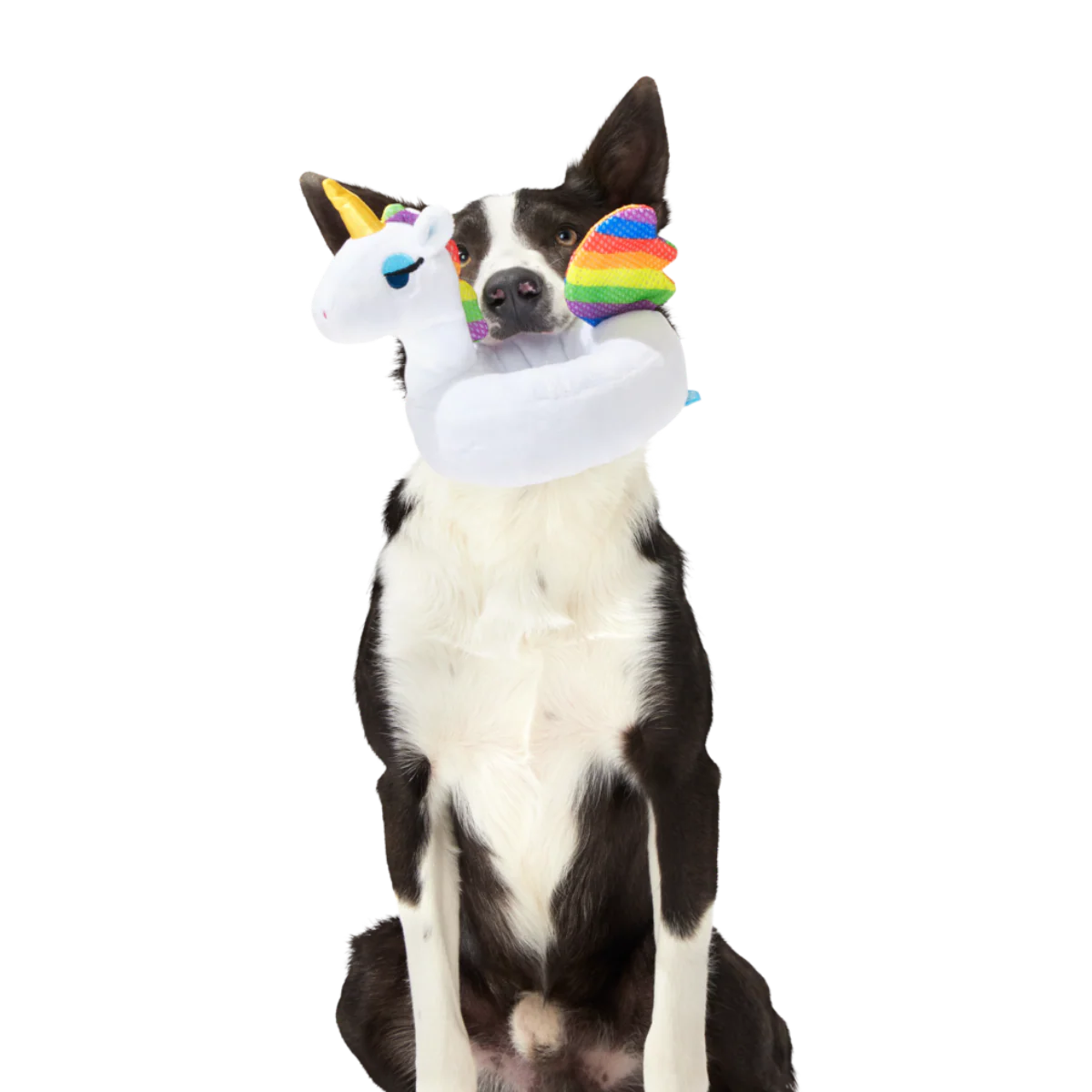 Tina the Tubular Unicorn Plush Tug Dog Toy
