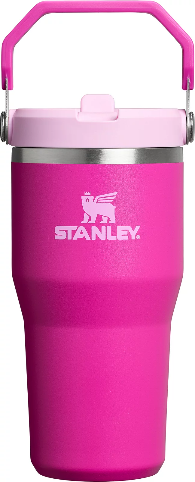 Stanley 20 oz. IceFlow 2.0 Flip Straw Tumbler - Violet Blossom