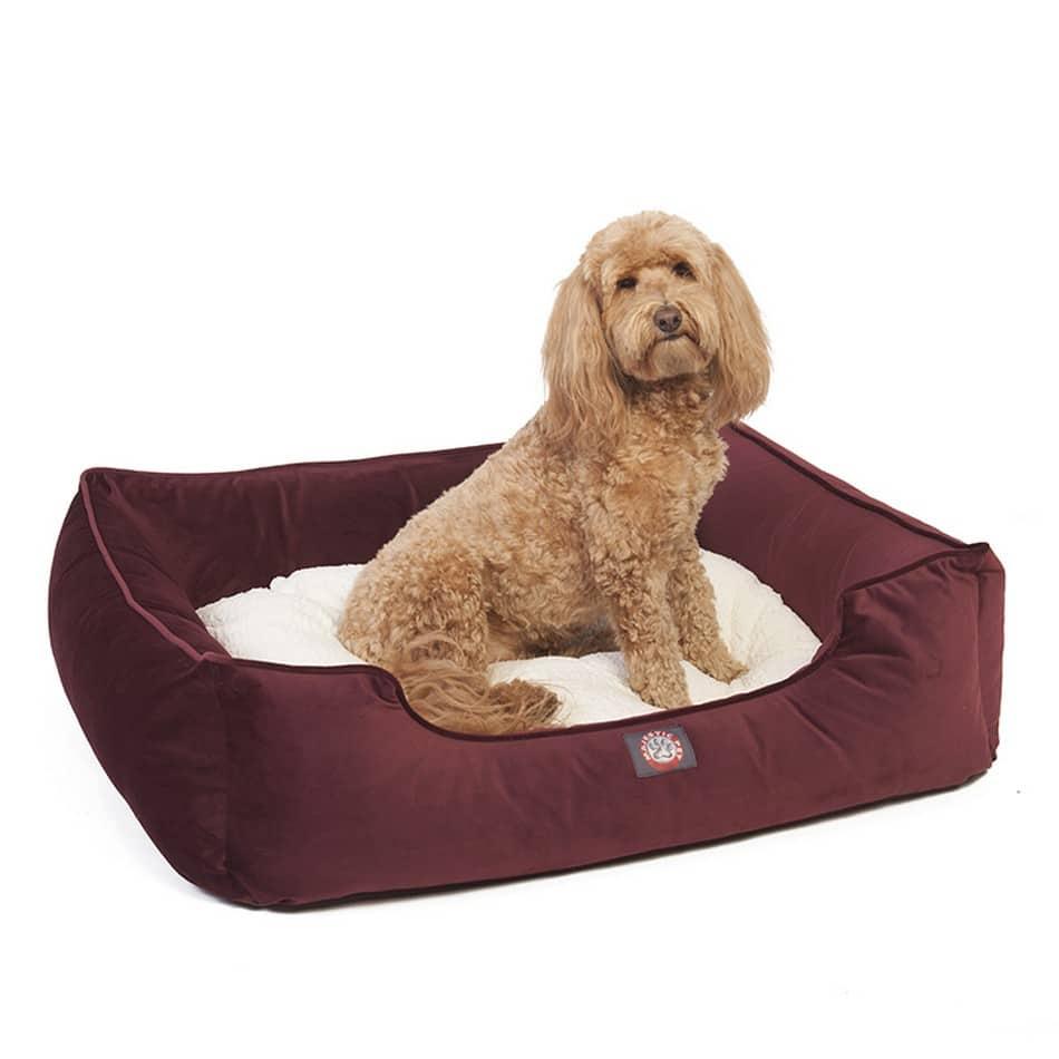 Velvet Contemporary Lounge Bed