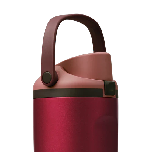 Owala Holiday Collection FreeSip® Sway Poinsettia 30oz