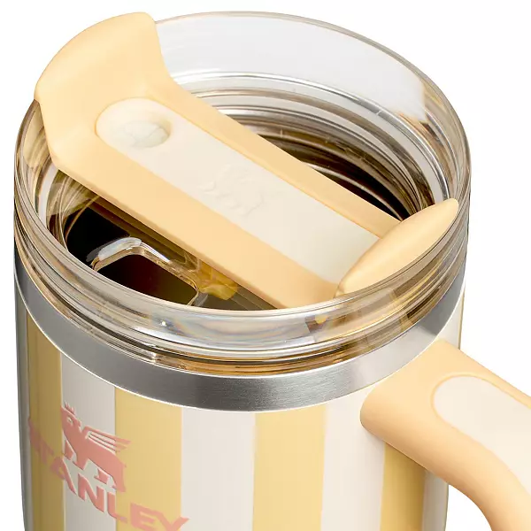 Stanley 20 Oz. Quencher H2.0 Flowstate Tumbler - Oasis Collection