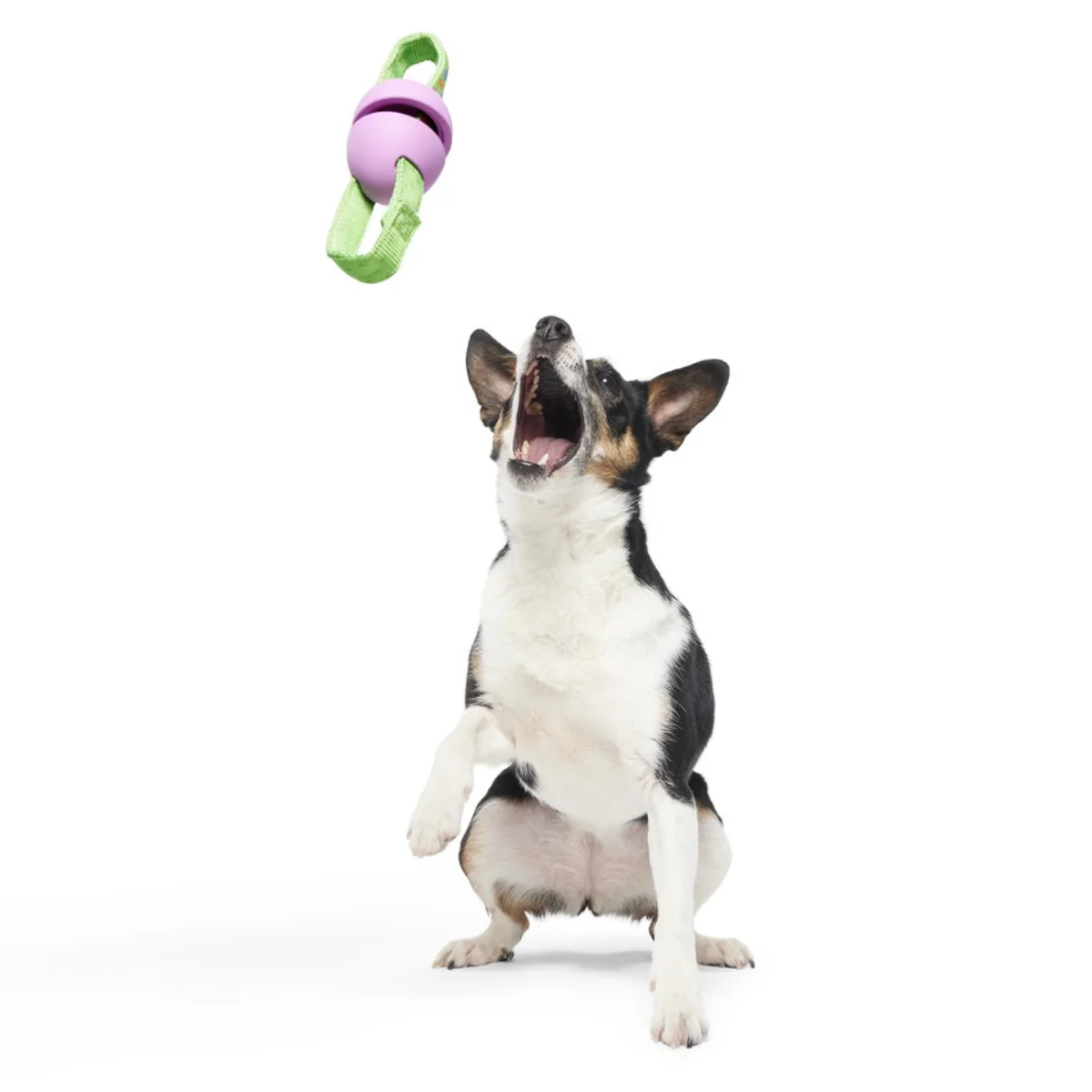Egg-O-War Tug Super Chewer Durable Tug + Enrichment Dog Toy