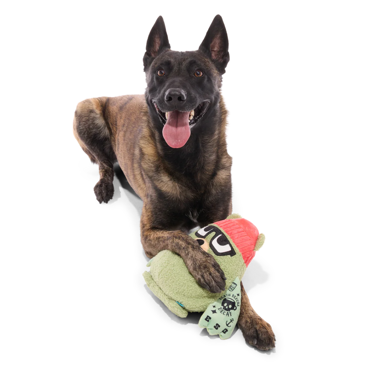 Bearista Plush Extra-Large Tug Dog Toy