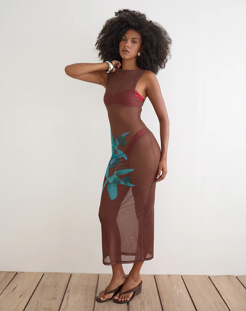 Fay Midi Dress in Brown with Blue Desert Rose