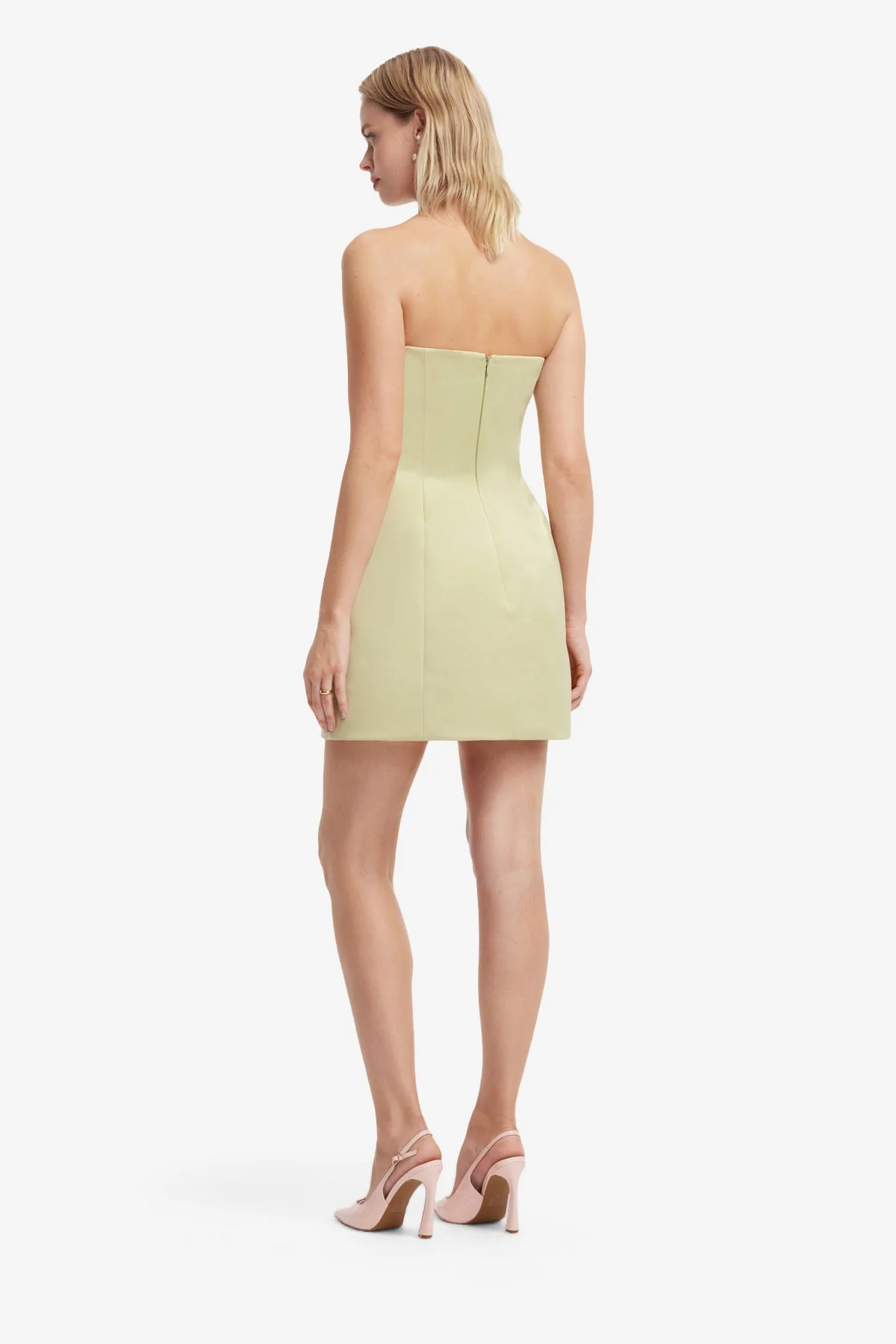 Roselle Embroidered Bustier Mini Dress - Pistachio Rose Print - luluinthesky