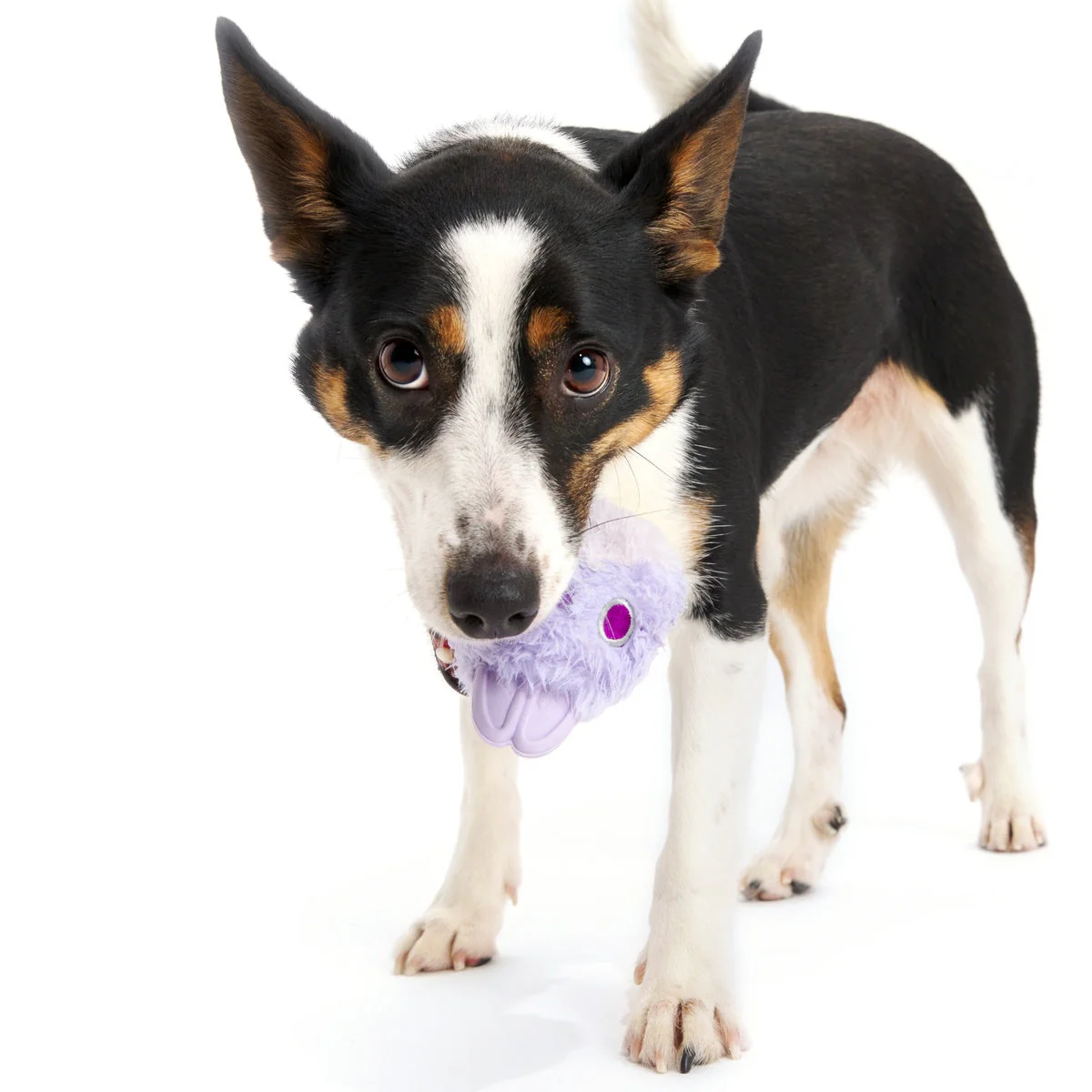 Beaster Bunny Super Chewer Durable 2-in-1 + Enrichment Dog Toy