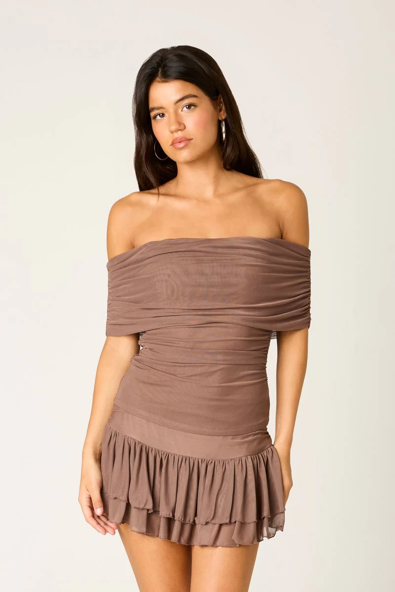 Off Shoulder Mesh Top