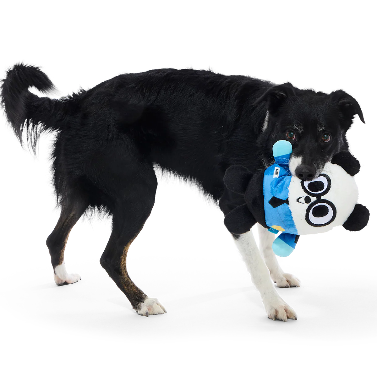 Boarding Panda Plush 2-In-1 Dog Toy