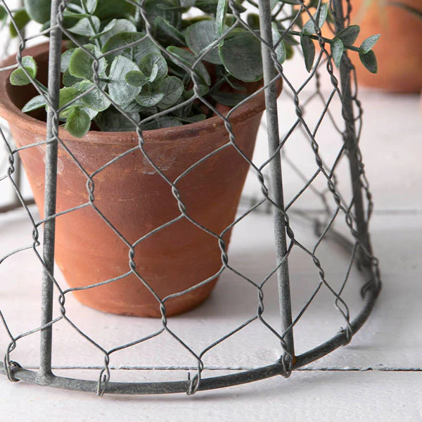 Chicken Wire 10 Inch Cloche