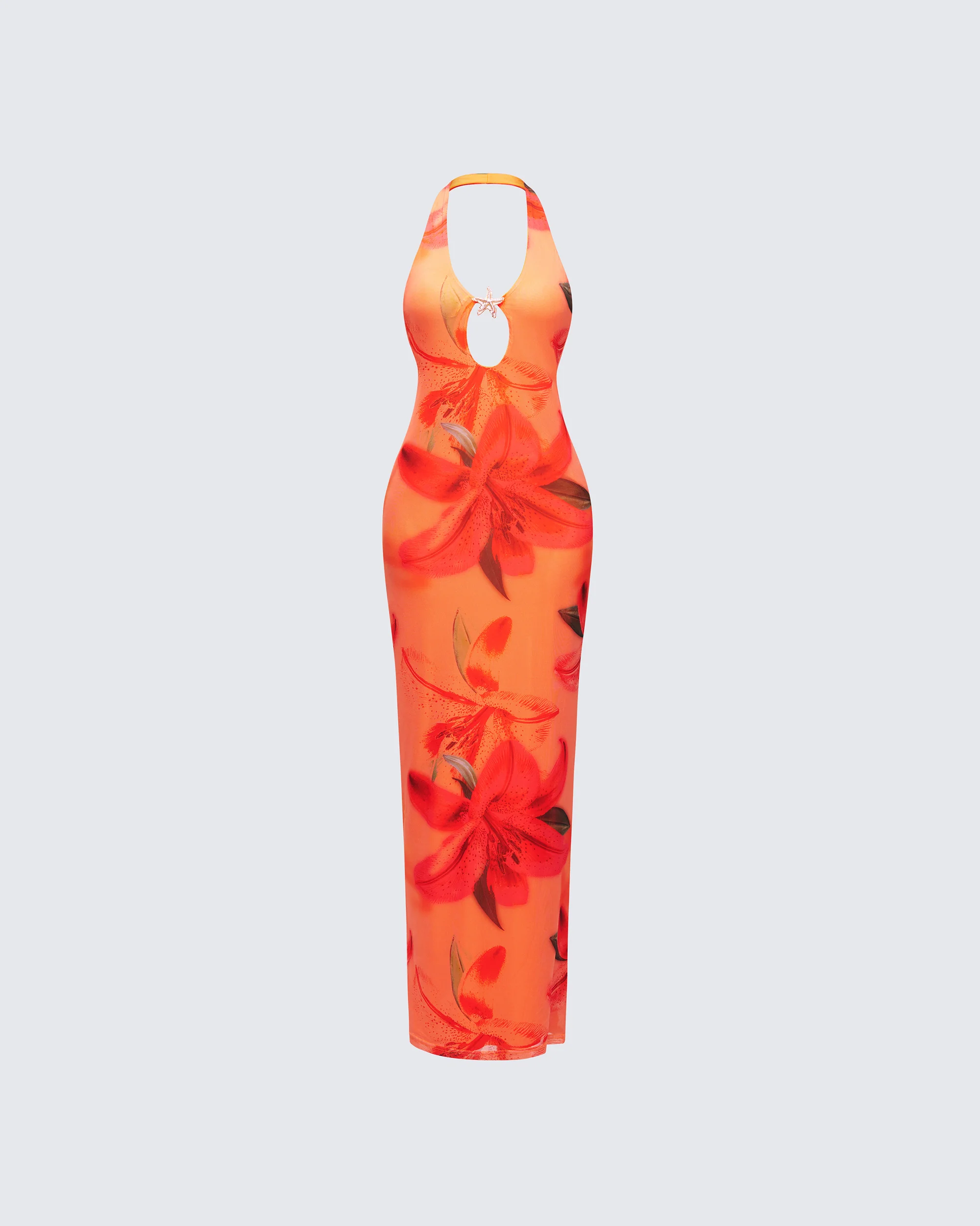 Evana Multi Printed Mesh Maxi Dress