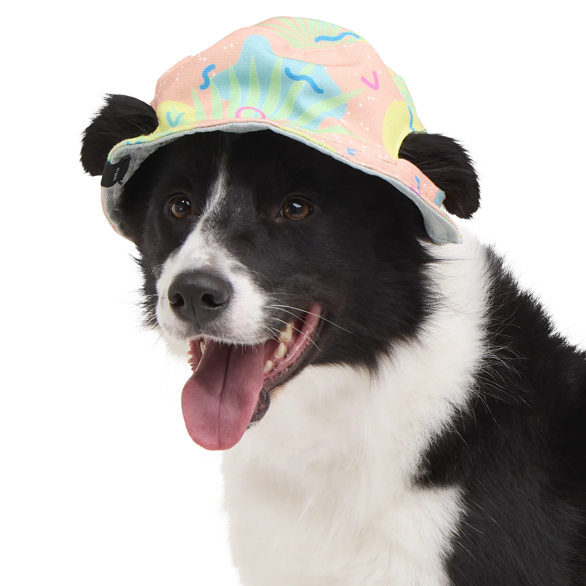 Summertime Reversible Bucket Dog Hat