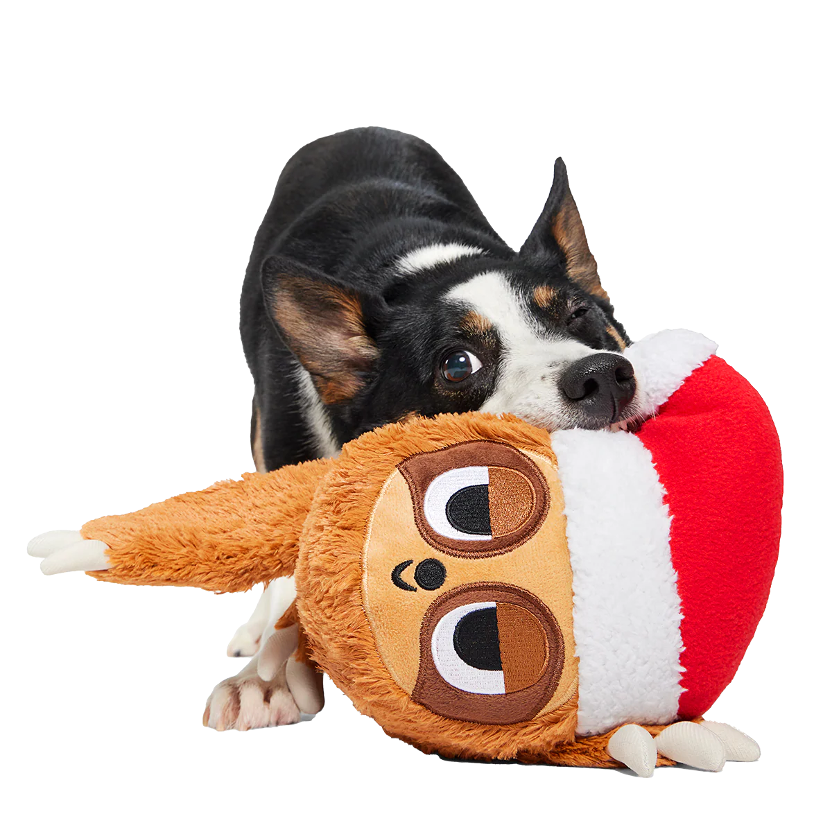 Let It Slow Plush Extra-Large Tug Dog Toy