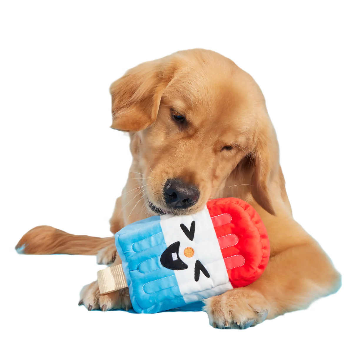 Rocket Droolsicle Plush Tug Dog Toy