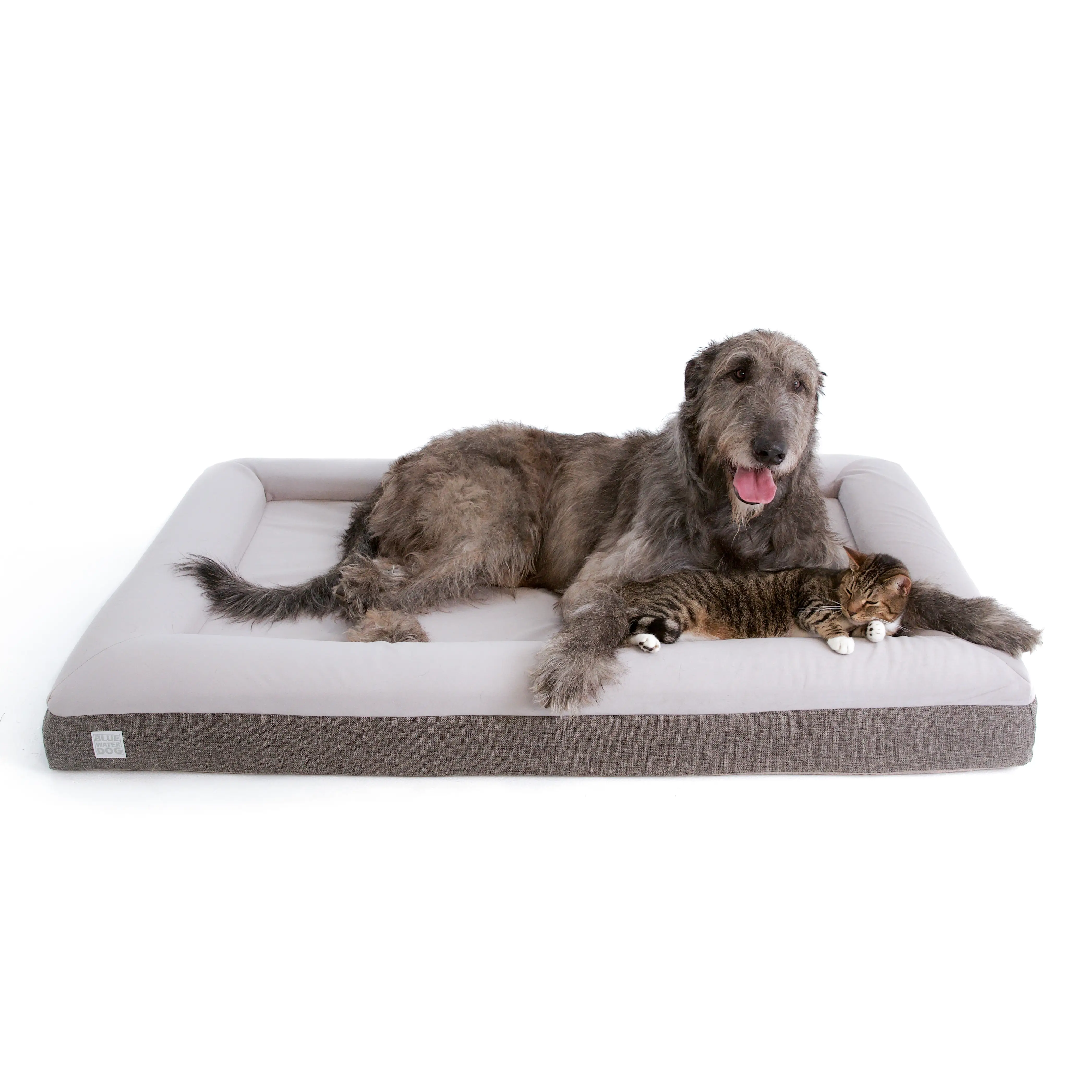 Extra Large Microfiber Orthopedic Dog Bed (Bolster, Essential / Gray)