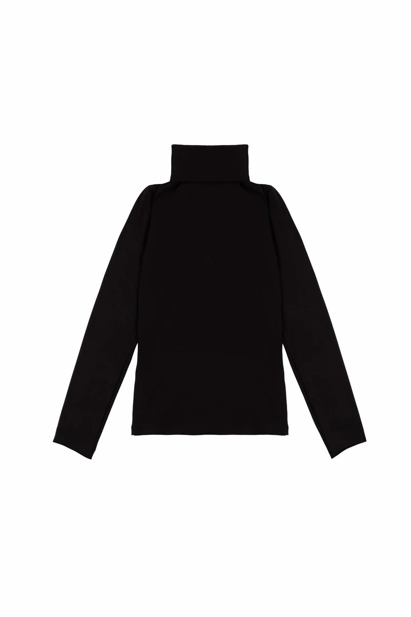 Long-Sleeve Turtleneck Sweater