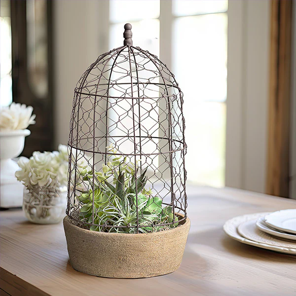 Chicken Wire Cloche with Terra Cotta Pot