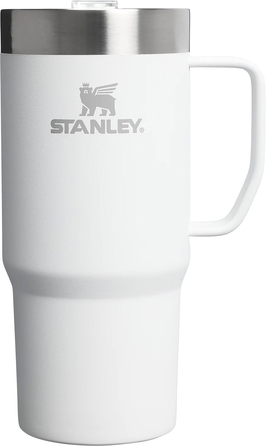 Stanley 16 oz. Everyday Suburban Mug - Frost