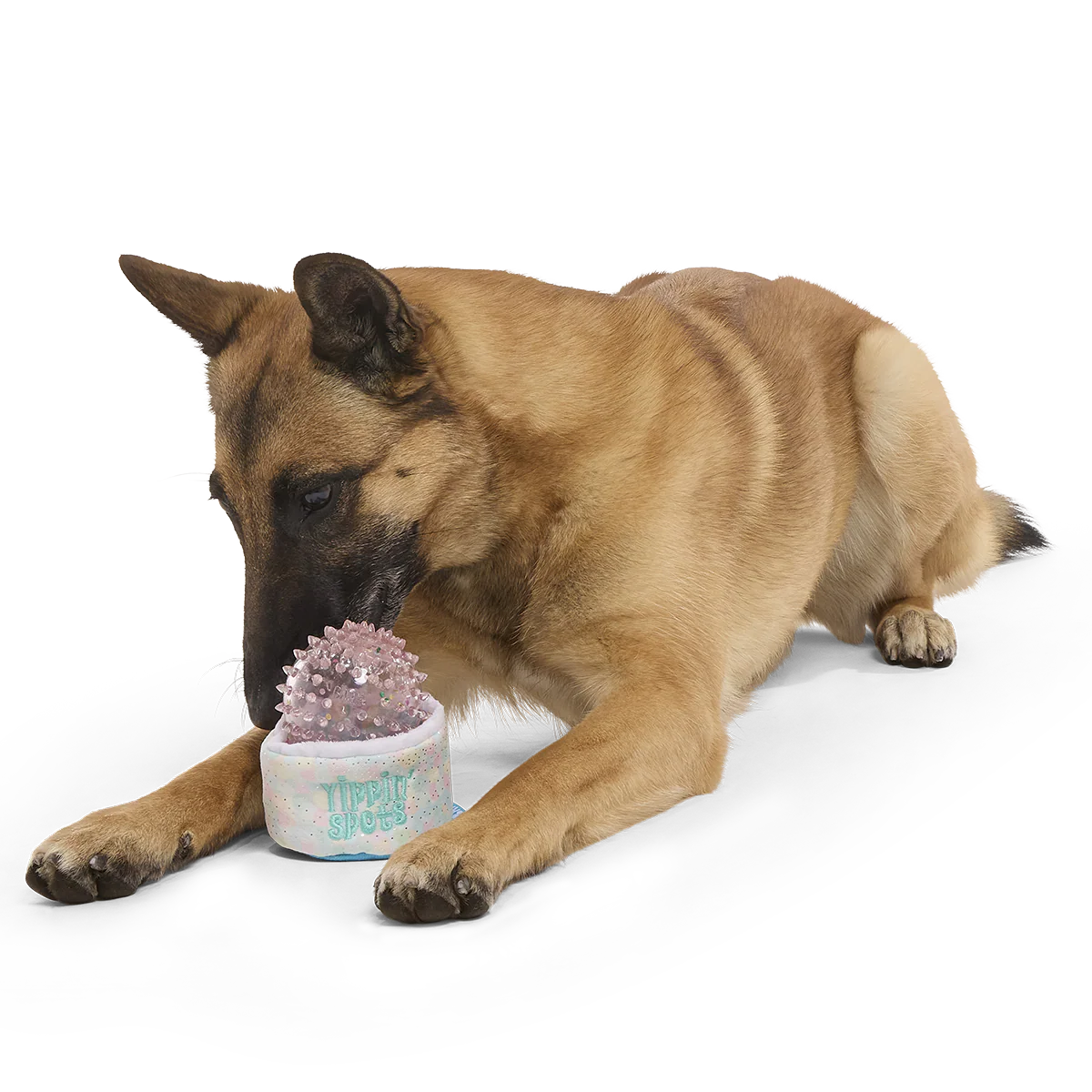 Yippin’ Spots Plush Multi-Part Fetch + Enrichment Dog Toy
