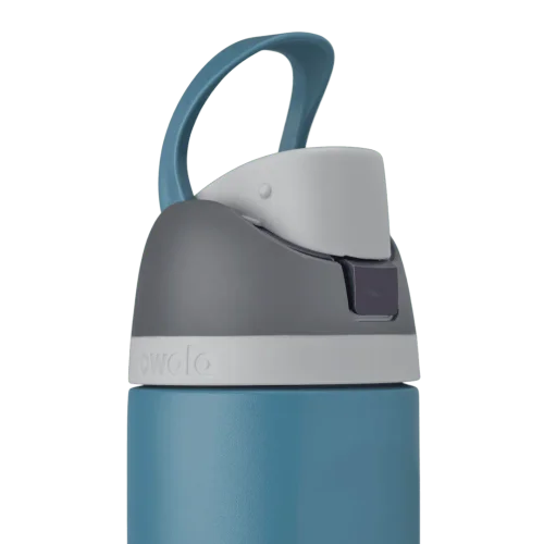 Owala FreeSip Insulated Stainless Steel Water Bottle with Straw for Sports and Travel, BPA-Free, 24-oz, Grey/Blue
