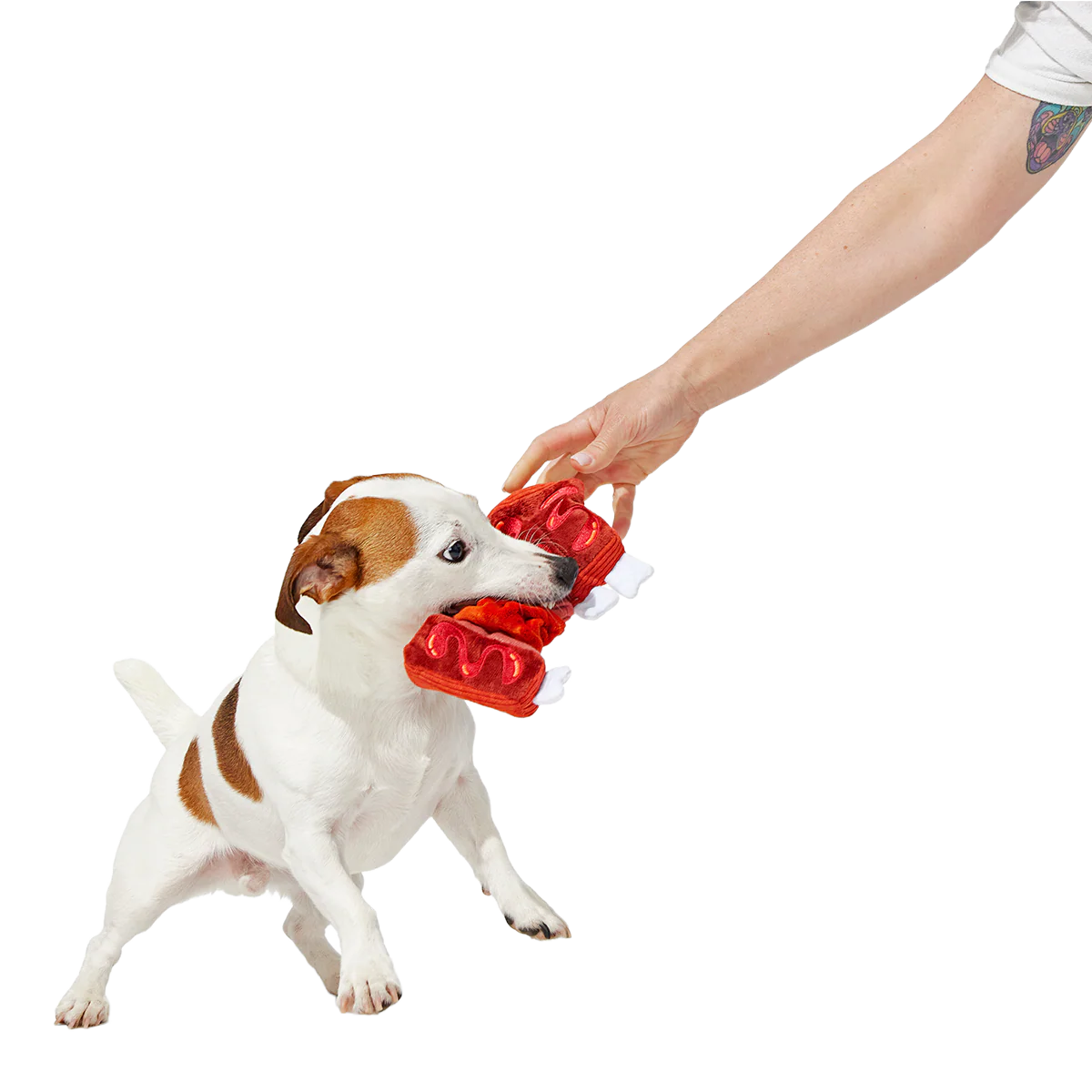 Baby Bark Ribs Plush Tug Dog Toy