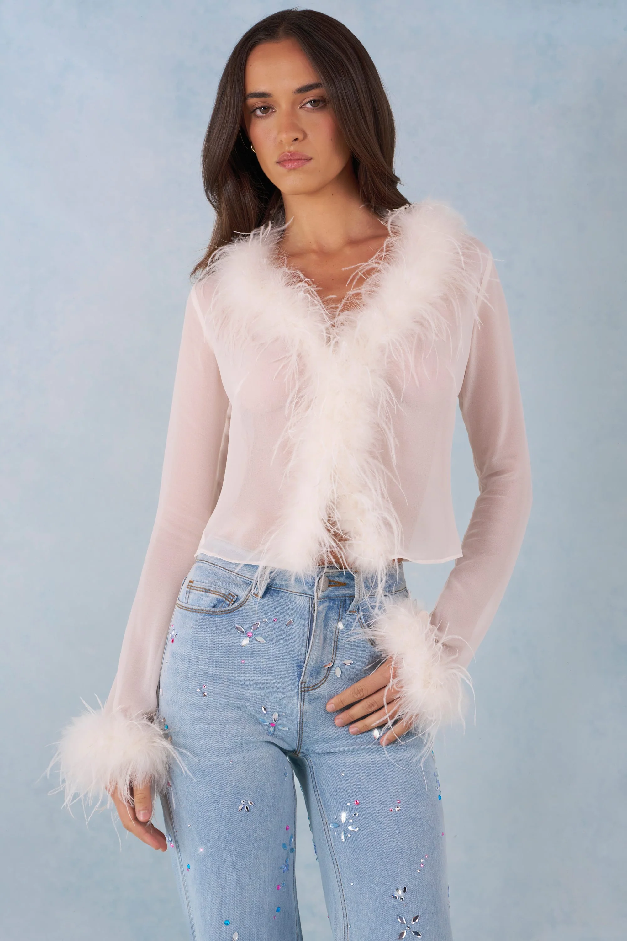 Faux Fur-Trim Sheer Top in Ivory