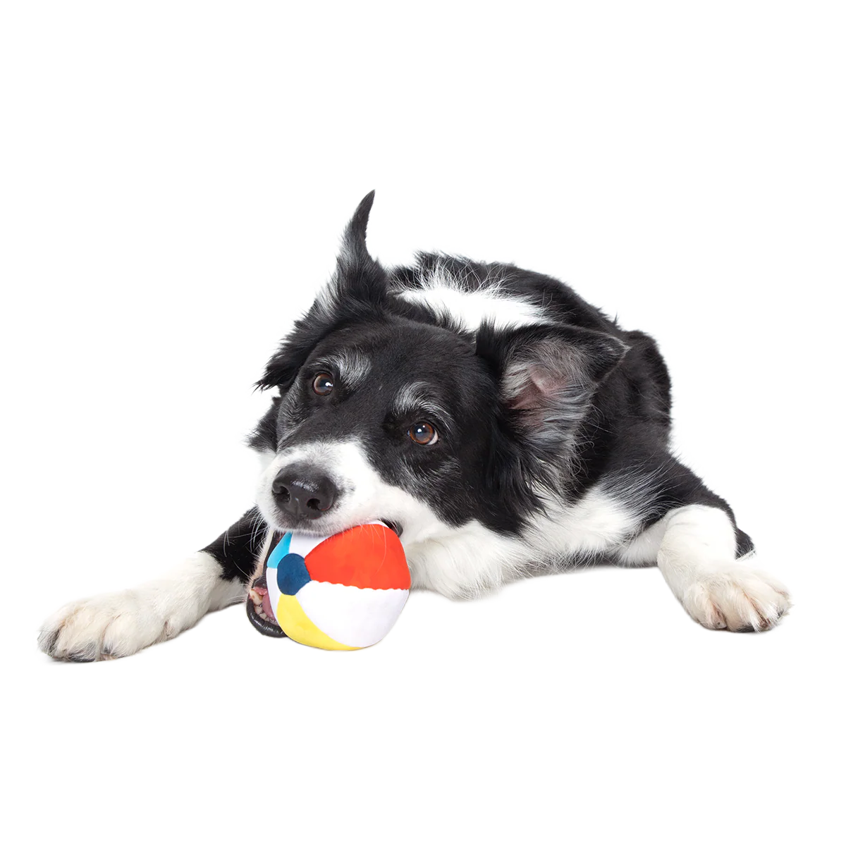 Spike The Beach Ball Super Chewer Durable 2-in-1 + Fetch Dog Toy