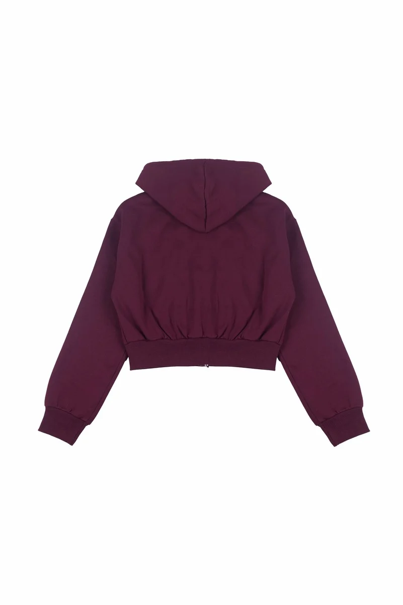 Cropped Embellished Hoodie
